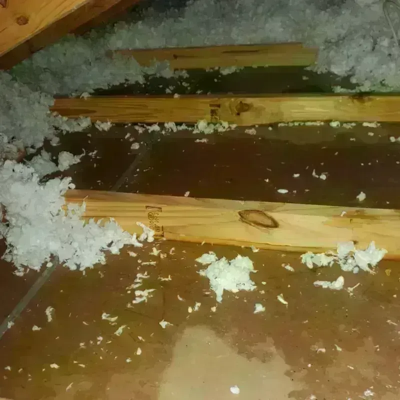 Attic Water Damage in Pleasant Gap, PA